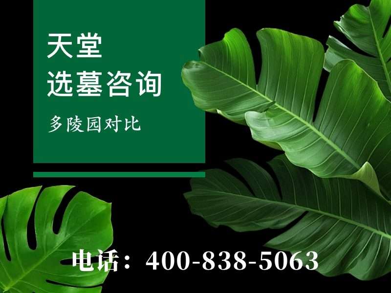 天堂公墓墓碑价格到底贵不贵，口碑和价格成正比吗：深度解析与消费指南